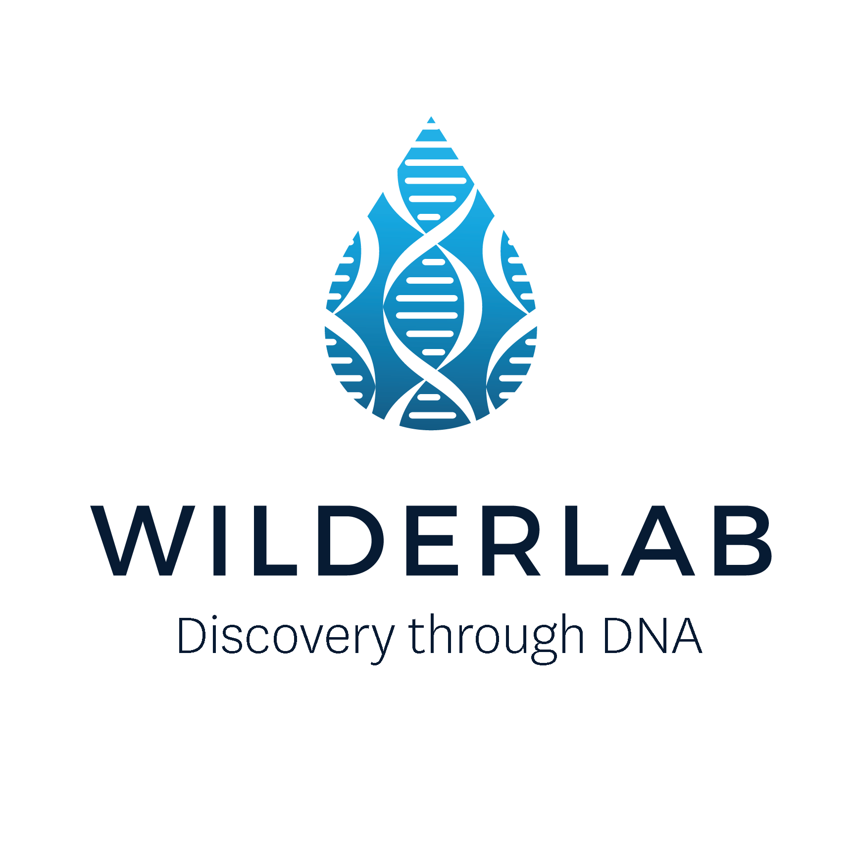 Wilderlab logo