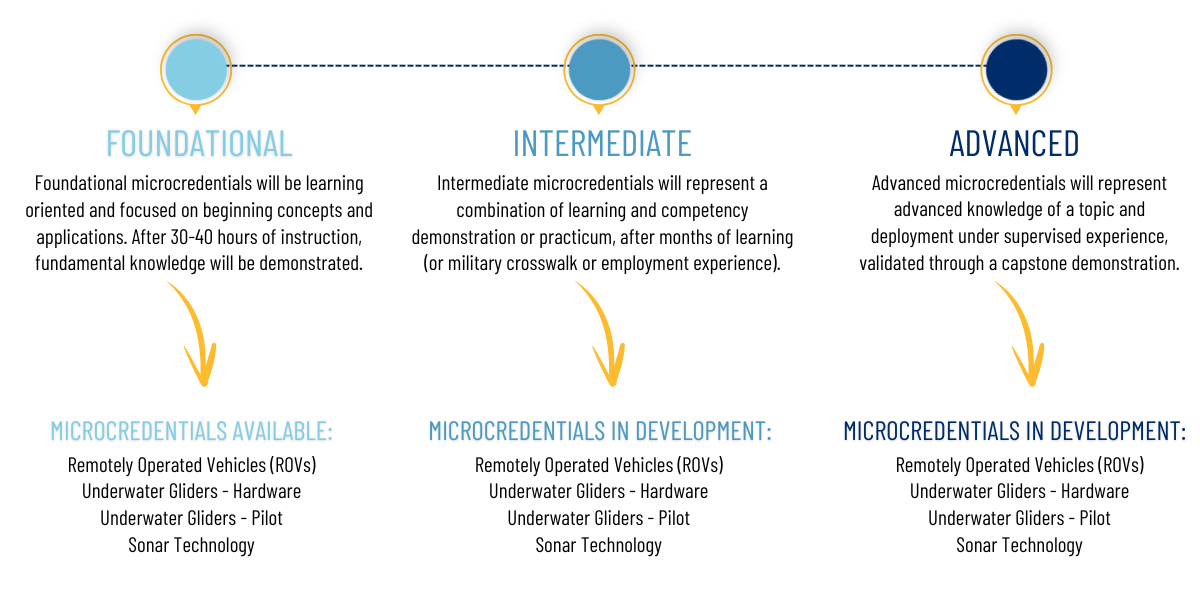 MICROCREDENTIALS-GRAPHIC