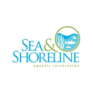 Sea and Shoreline